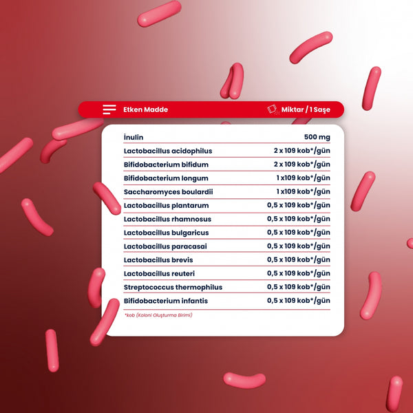 Probiotica en Prebiotica (30 sachets)